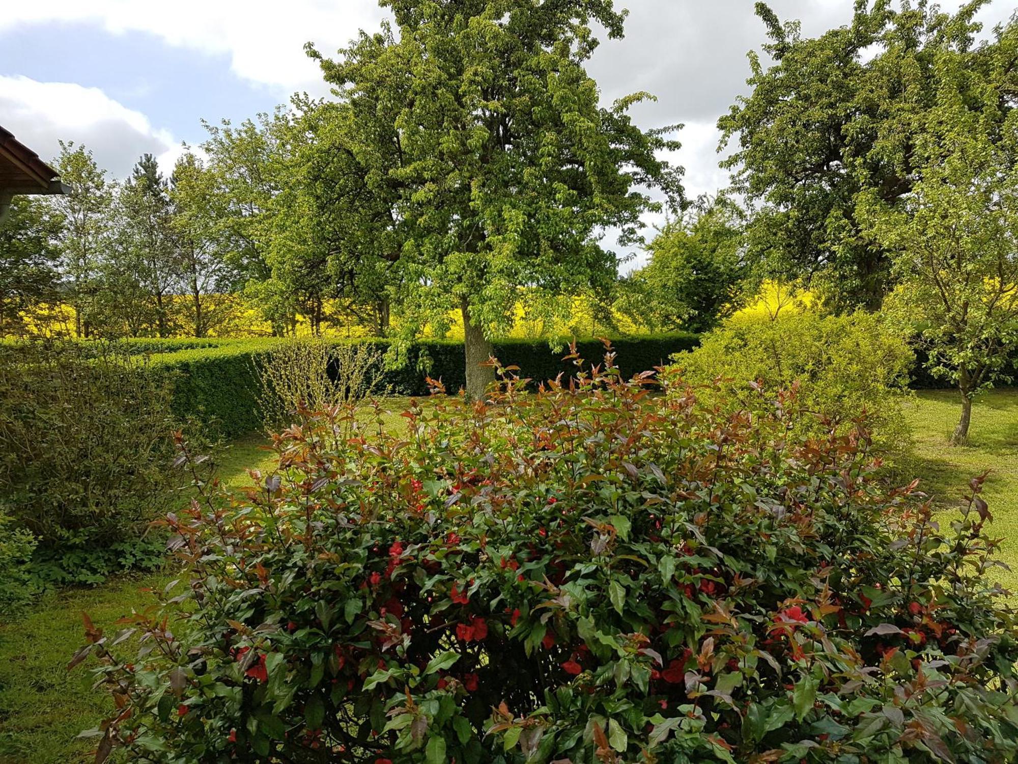 Ferienhaus Uckermark Casekow Екстериор снимка