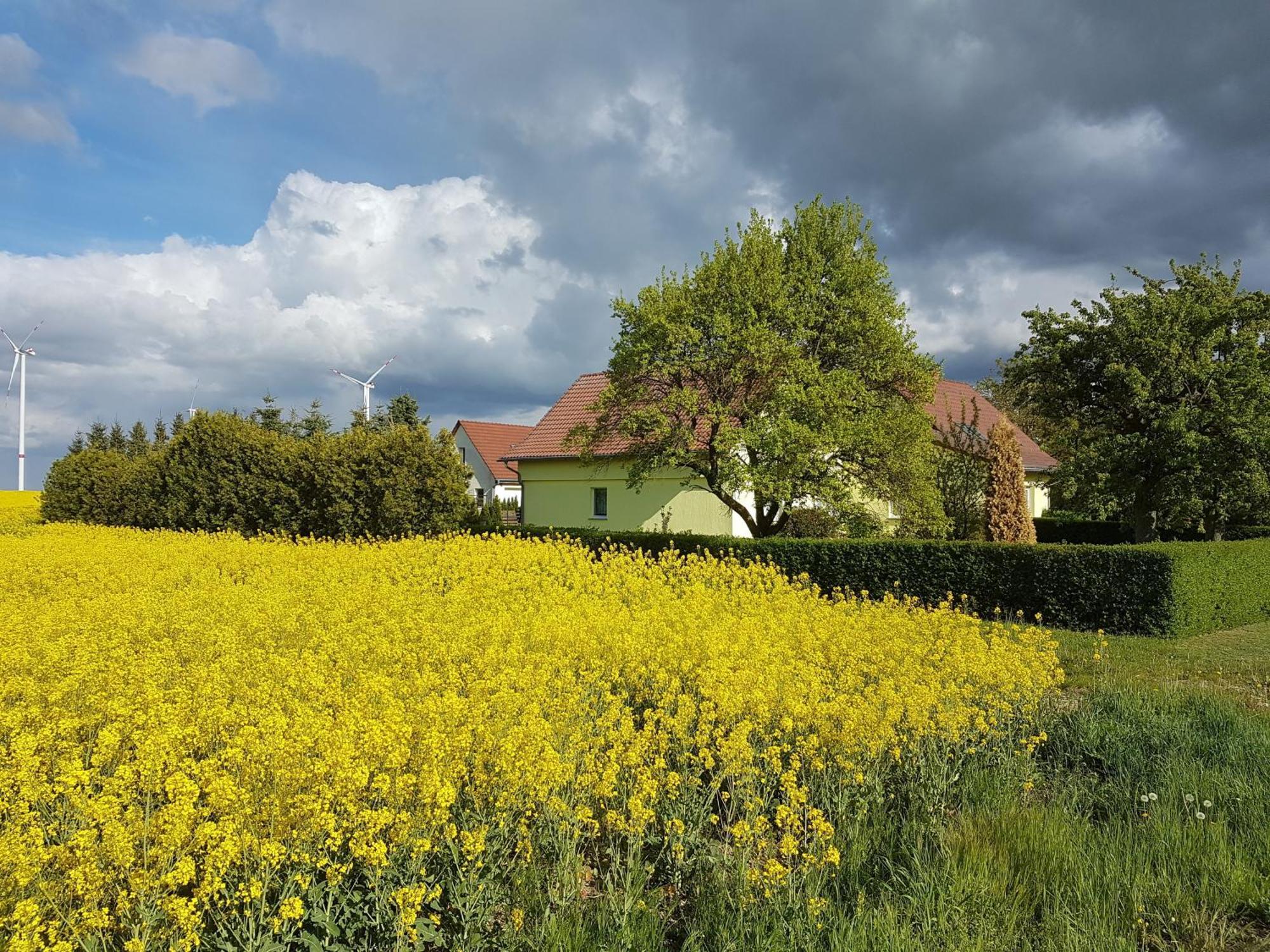 Ferienhaus Uckermark Casekow Екстериор снимка